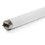 product_g_e_general_electric_ge_polylux_linear_tube_light_extra_warm_white_t8_36w_1200mm-600x600-1.jpg
